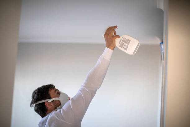 Best Emergency Mold Remediation in Seagoville, TX